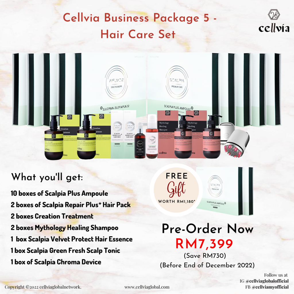 Business package 5