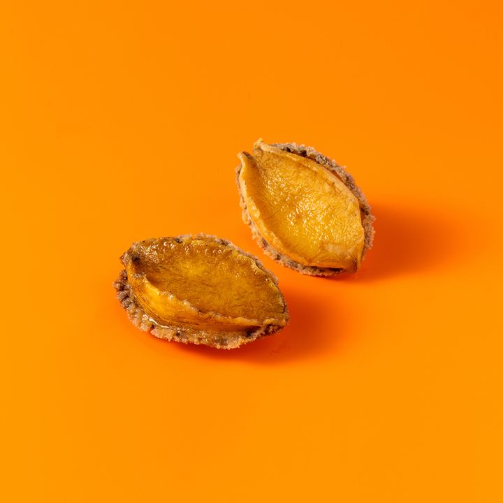 2V1A0977-01