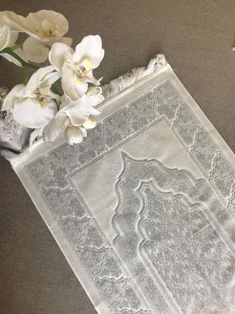 image_A6F2072F-0A6D-455B-B6CE-2E5373CE2974_1771571981