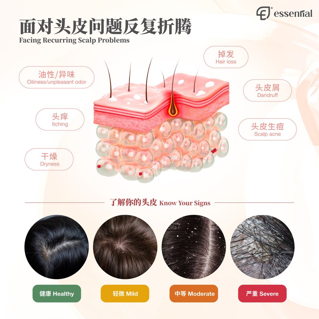 POSM_New Revitalizing Scalp Care Shampoo-02