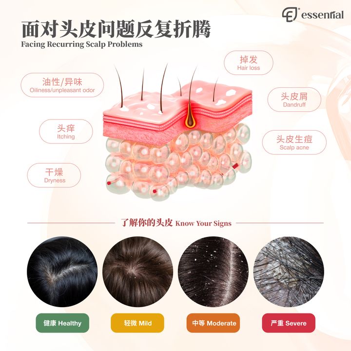POSM_New Revitalizing Scalp Care Shampoo-02