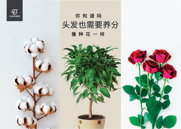 booklet CN_001
