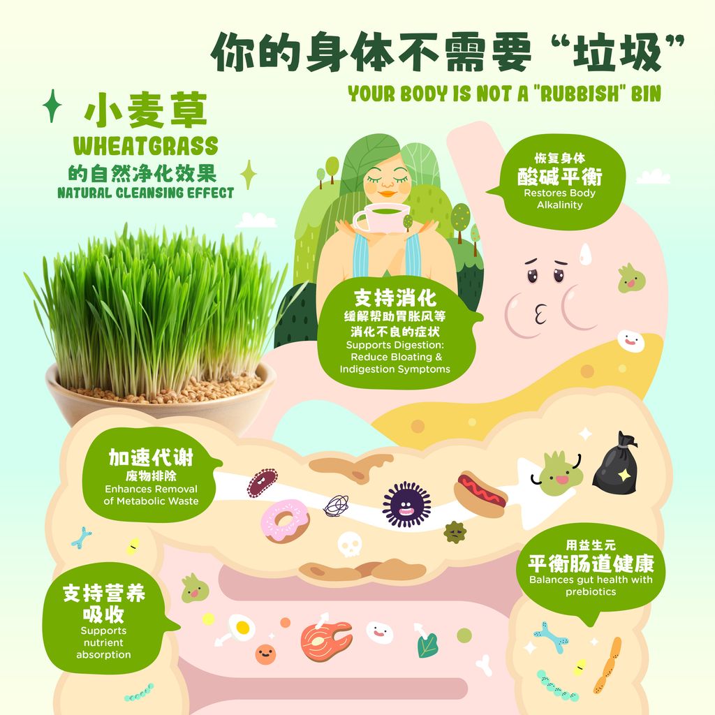OGREEN_POSM-04