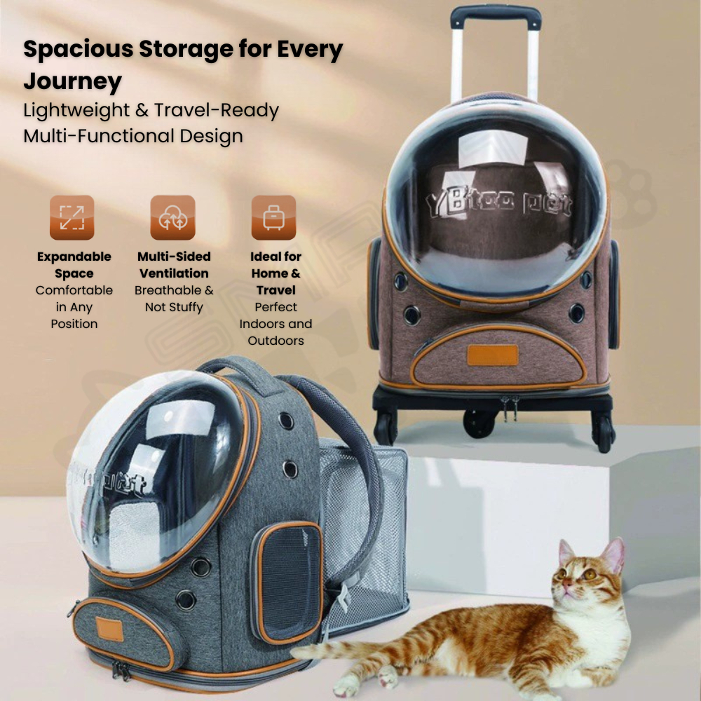 my-11134207-820le-mj9d6um4nwg6b7