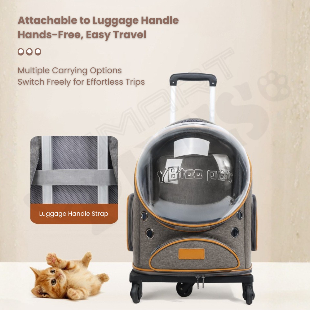 my-11134207-820l8-mj9d6upgzvute4