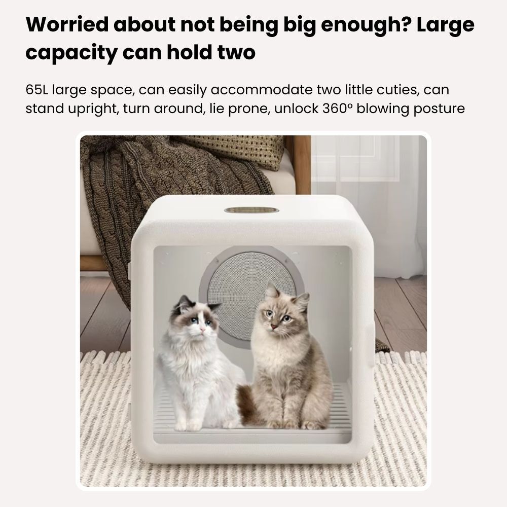 my-11134207-7rasj-m2c4hgiaz19b24