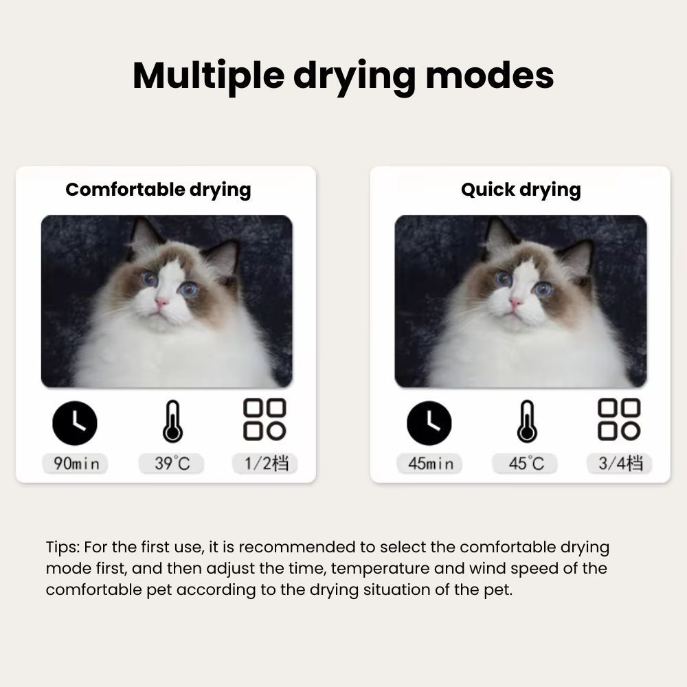 my-11134207-7rasd-m2c4hhxmvwzh9f