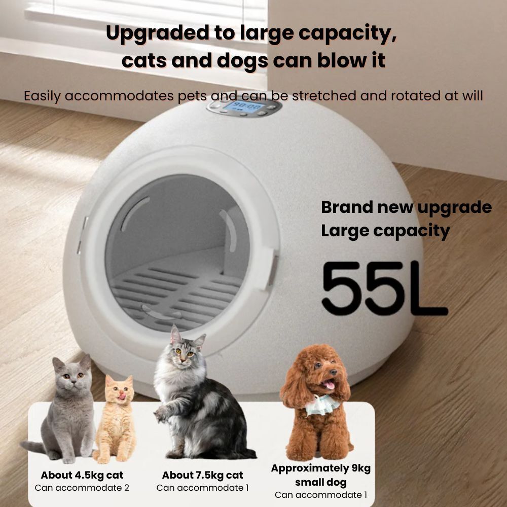 my-11134207-7rase-m2c99jqh0belbf