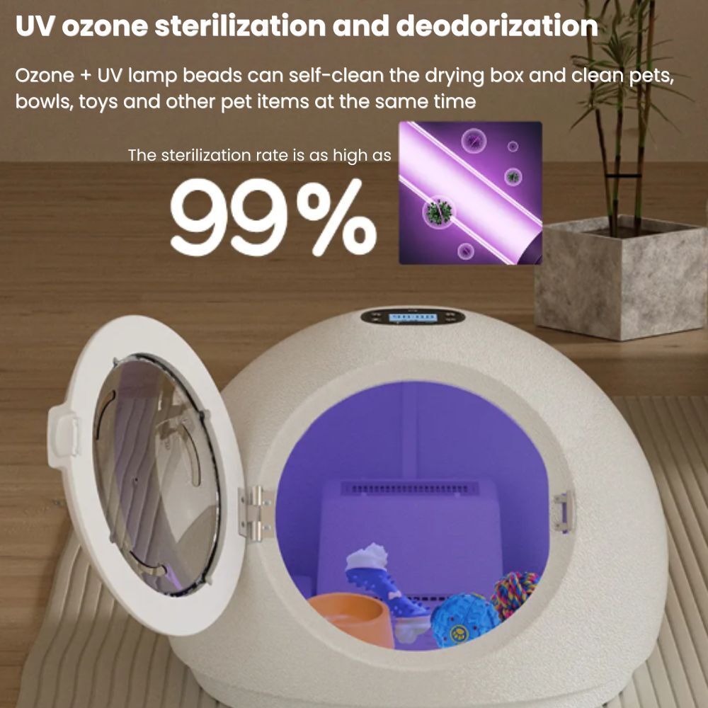 my-11134207-7rash-m2c99ldam8m7ba