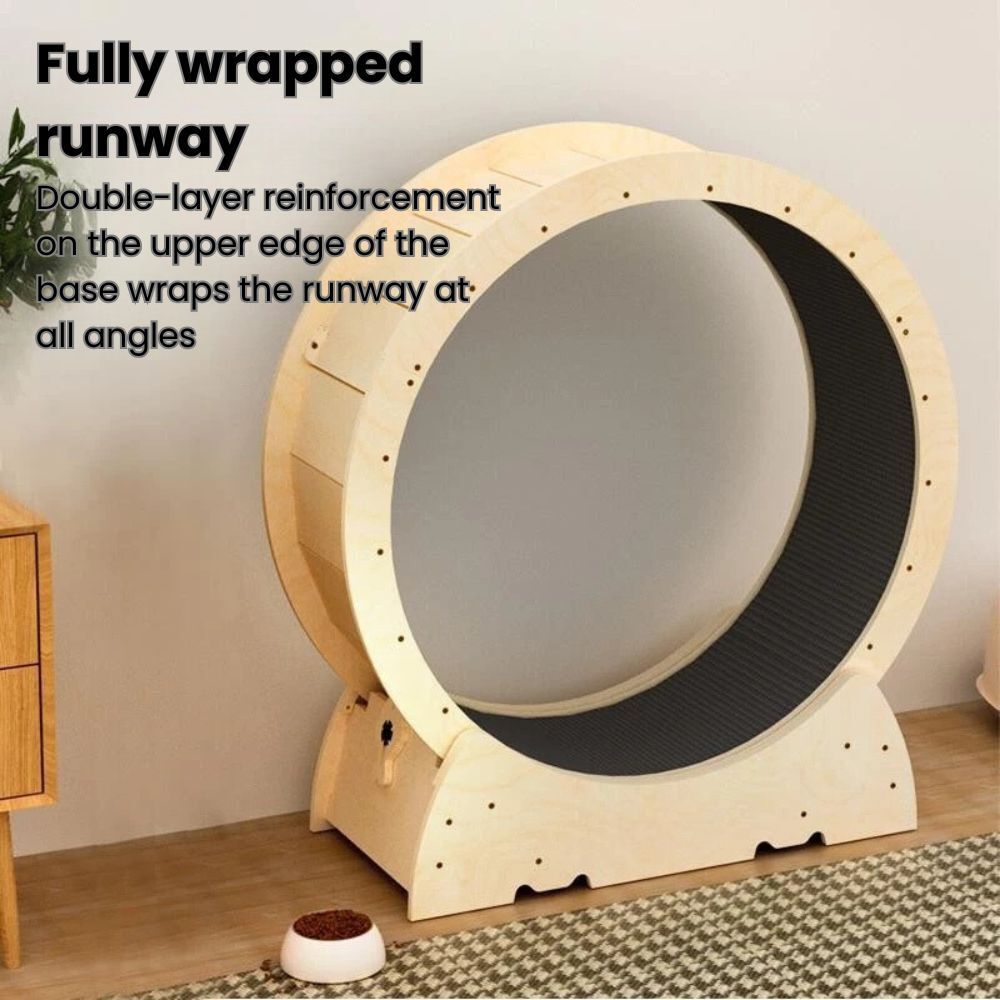 my-11134207-7rase-m3ot5yy38dzue7