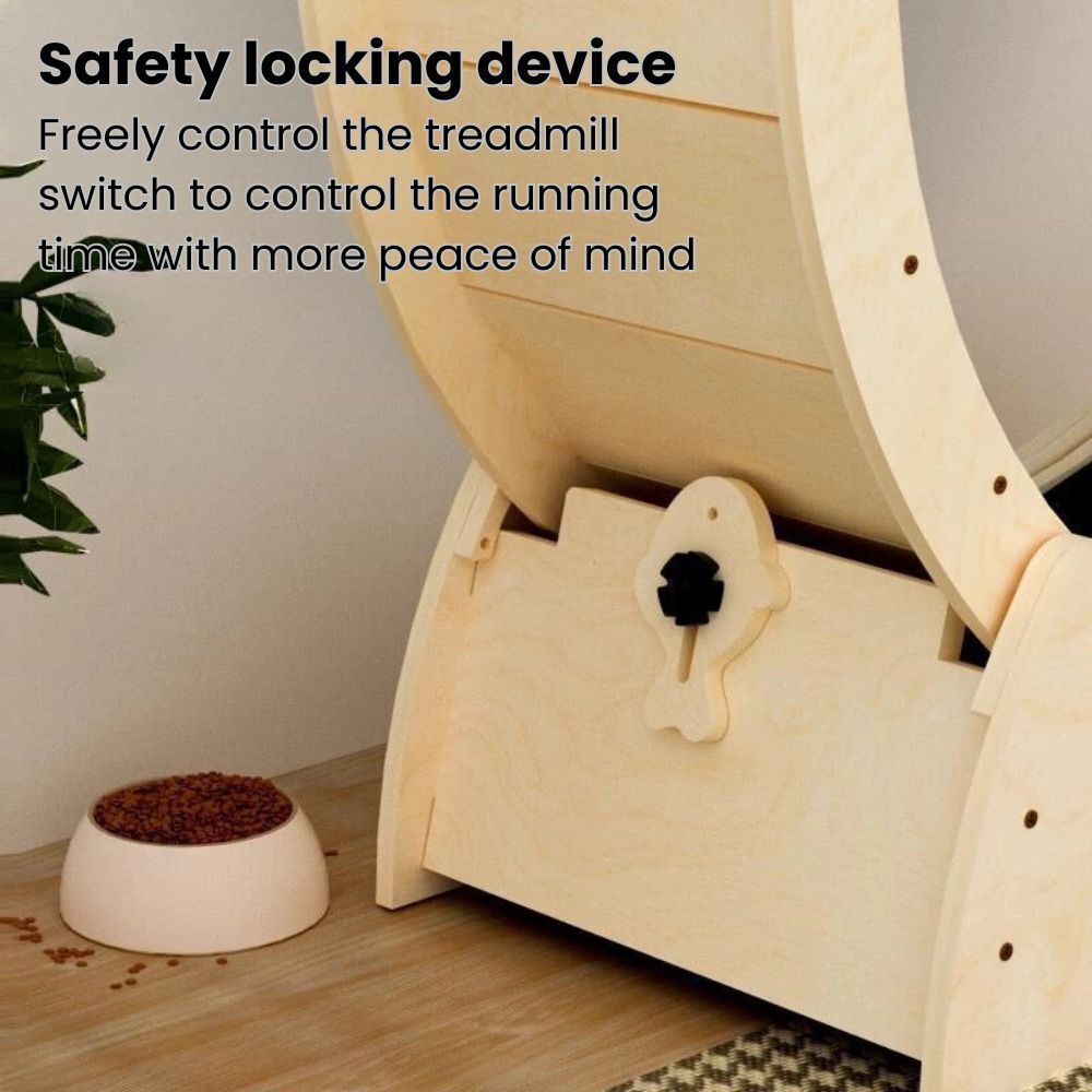 my-11134207-7rasl-m3ot5ytxpp4s2d