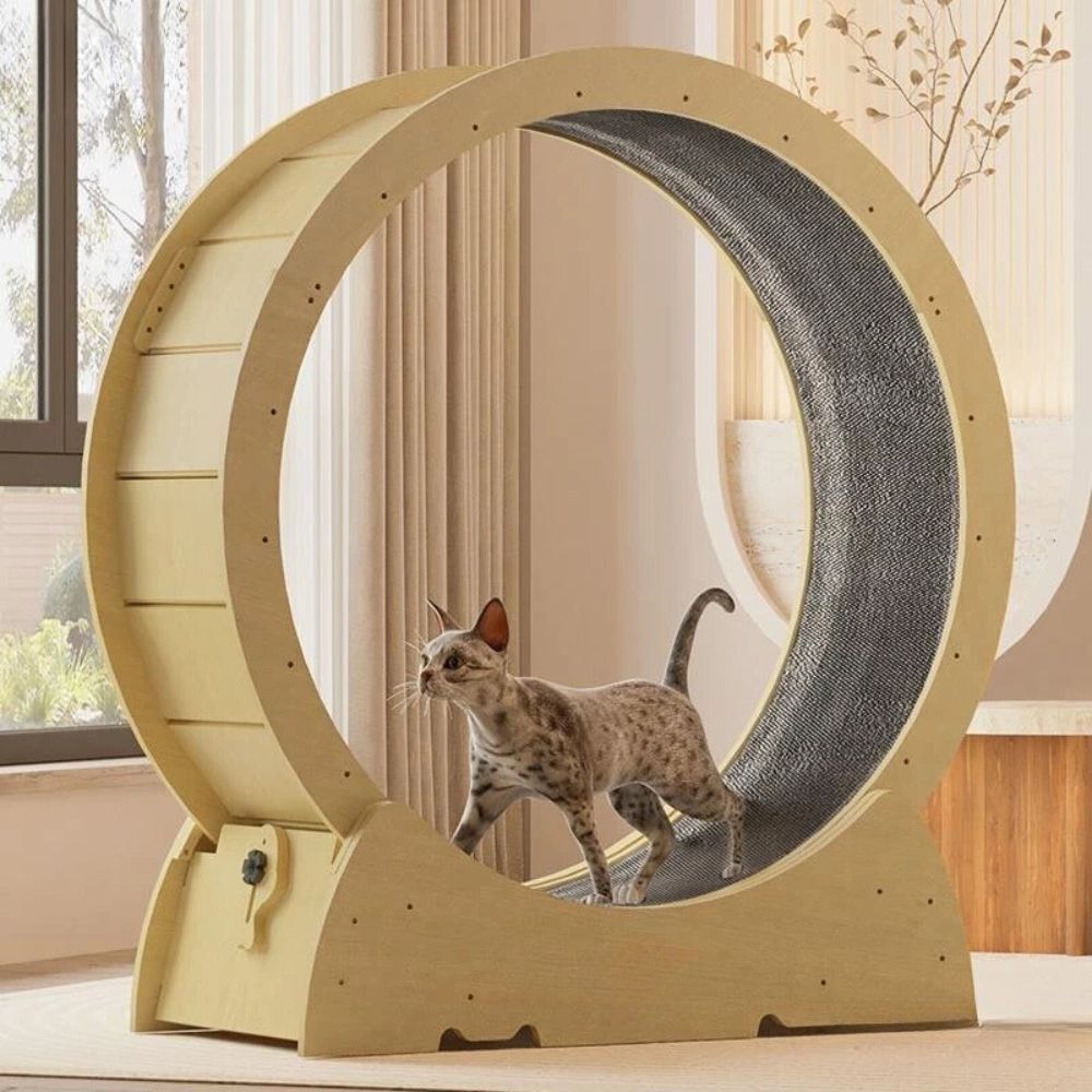 my-11134207-7rasc-m3ot5ytxd20s5e