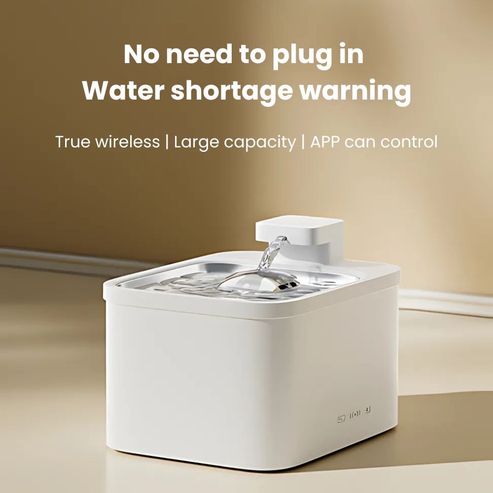 my-11134207-7rase-m3kczl4tqvssc7