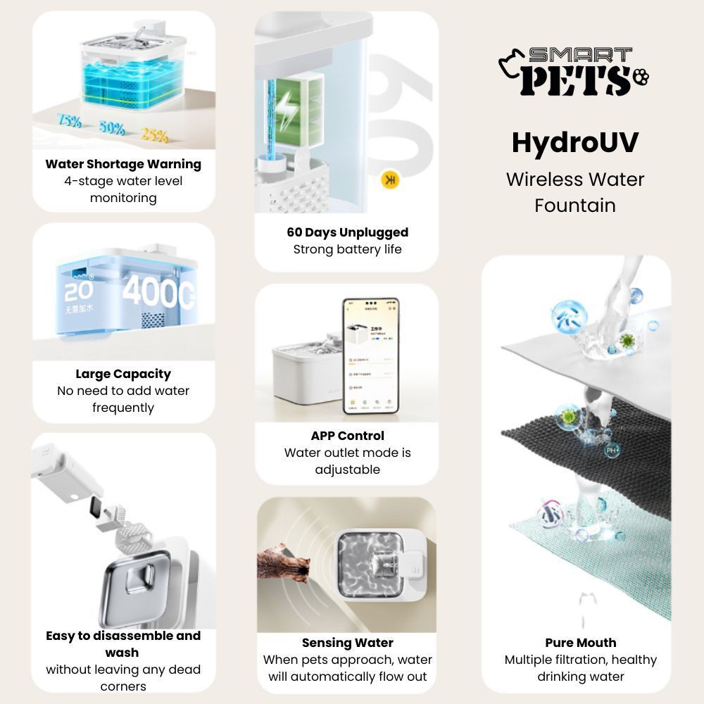 my-11134207-7rash-m3kczmyv29ju4e