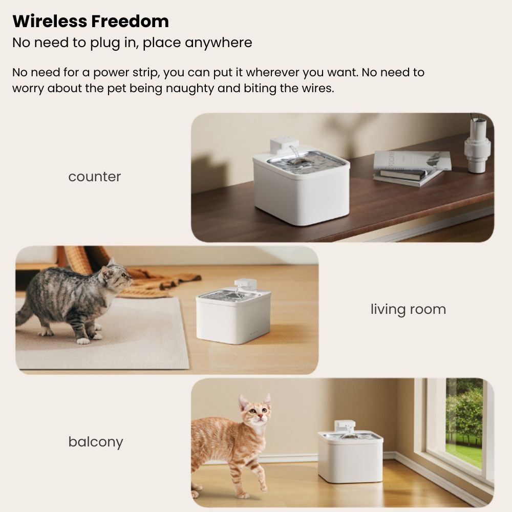 my-11134207-7rasl-m3kczqp5lqsa9f