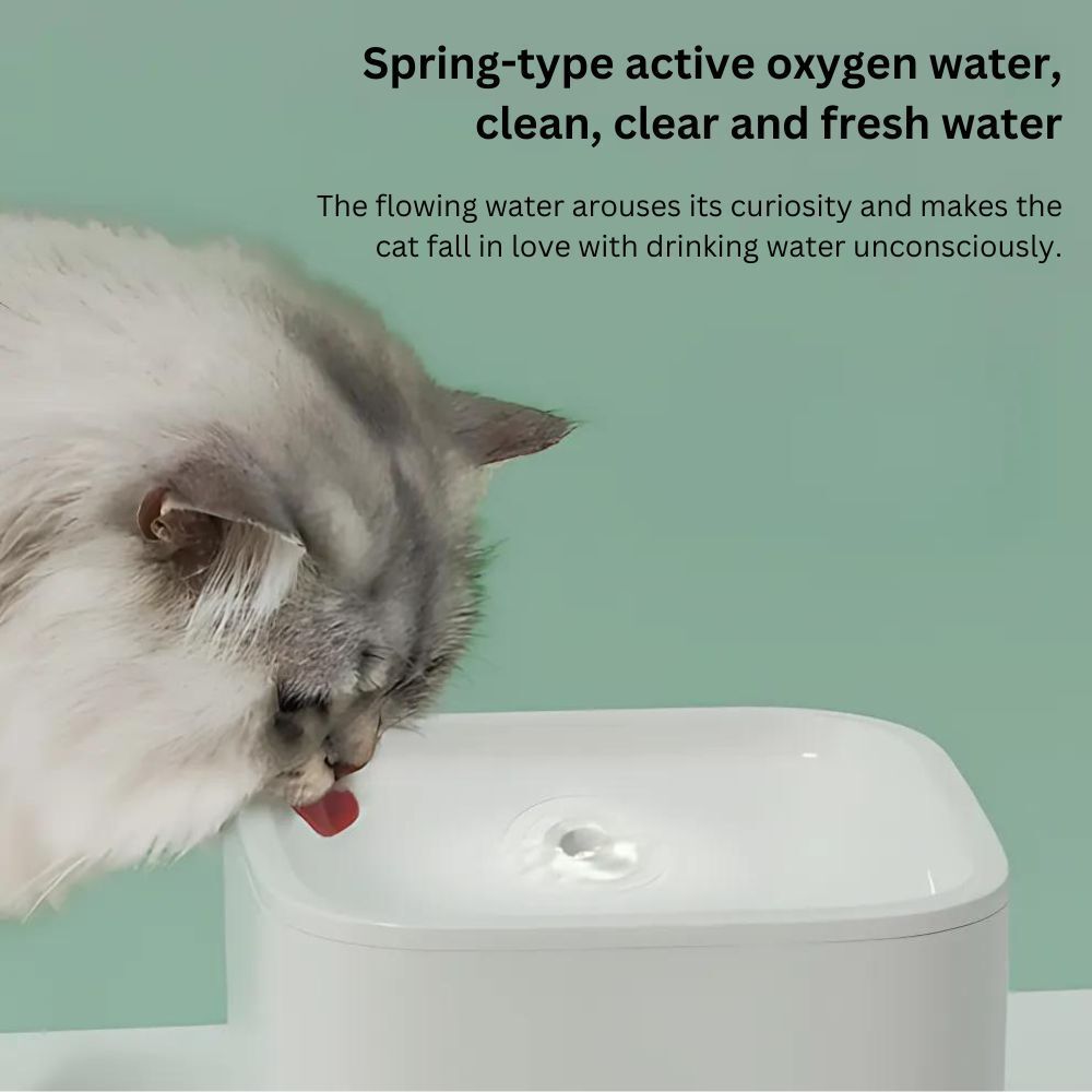 my-11134207-7rasb-m12dxy4e5zv17e