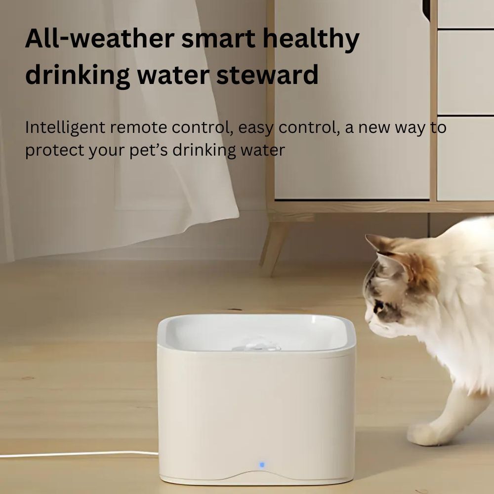 my-11134207-7ras9-m12dxy4e4l4r62