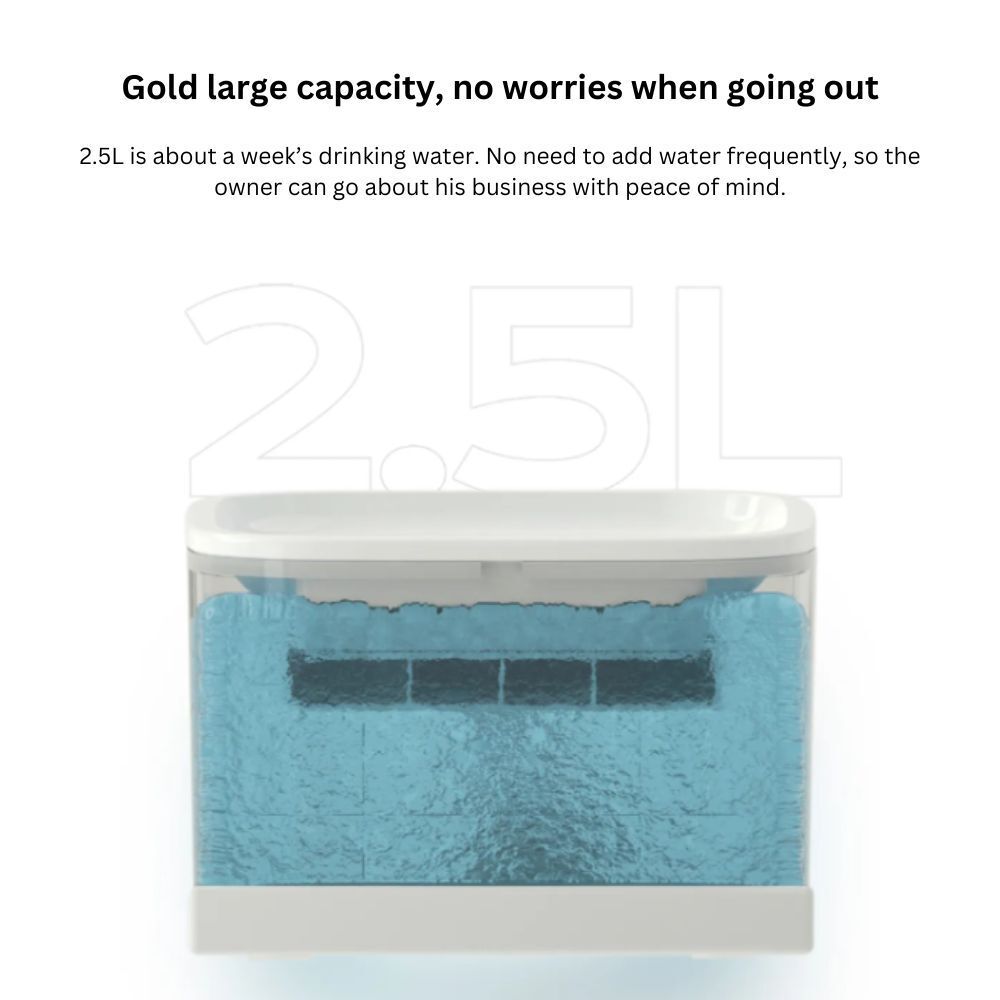 my-11134207-7rasl-m12dyamzt6tpcc