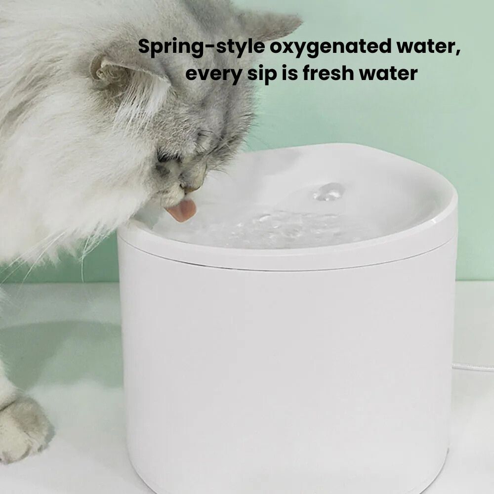 my-11134207-7rasd-m2ruskh4k5gia6