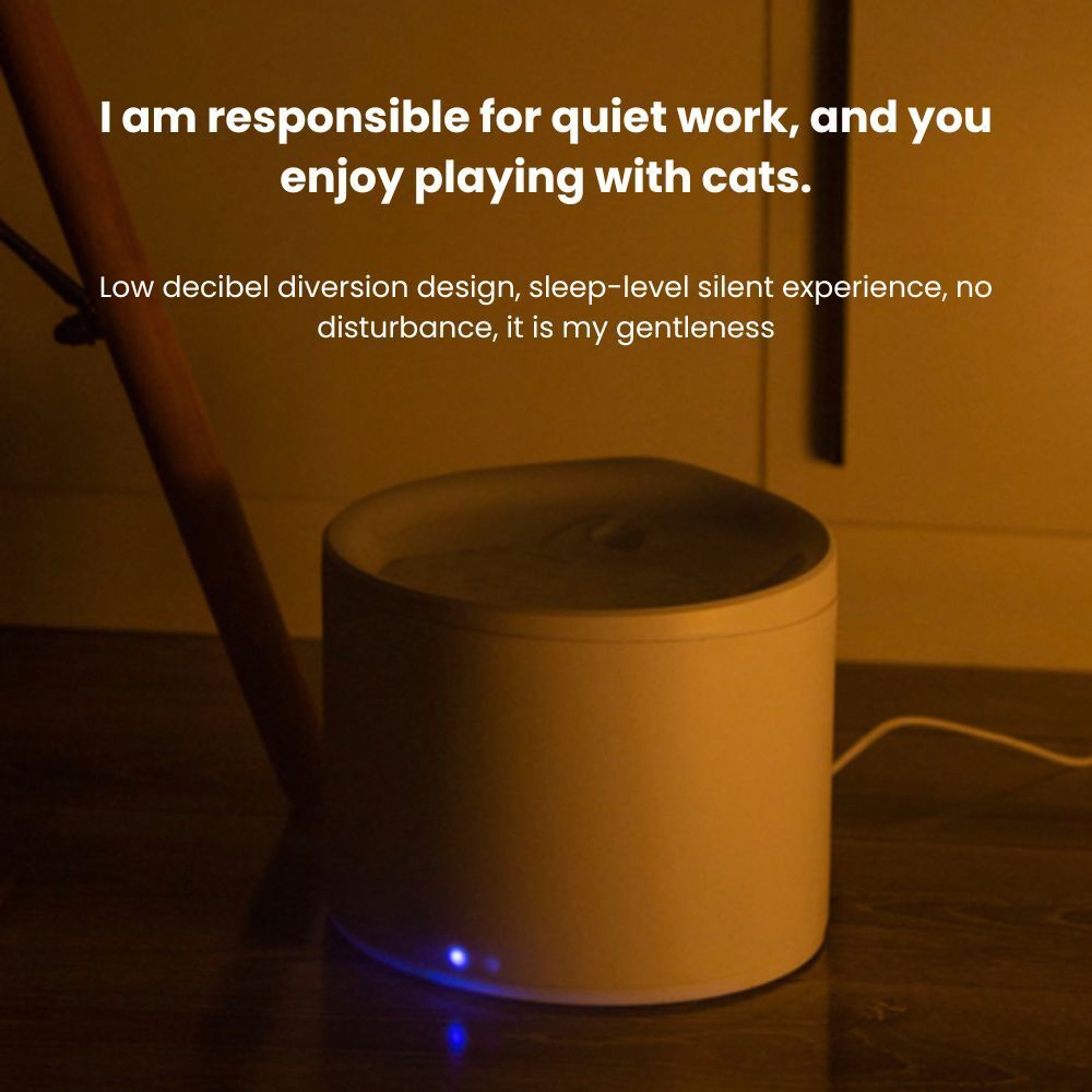 my-11134207-7rasj-m2rusqixpesm8d