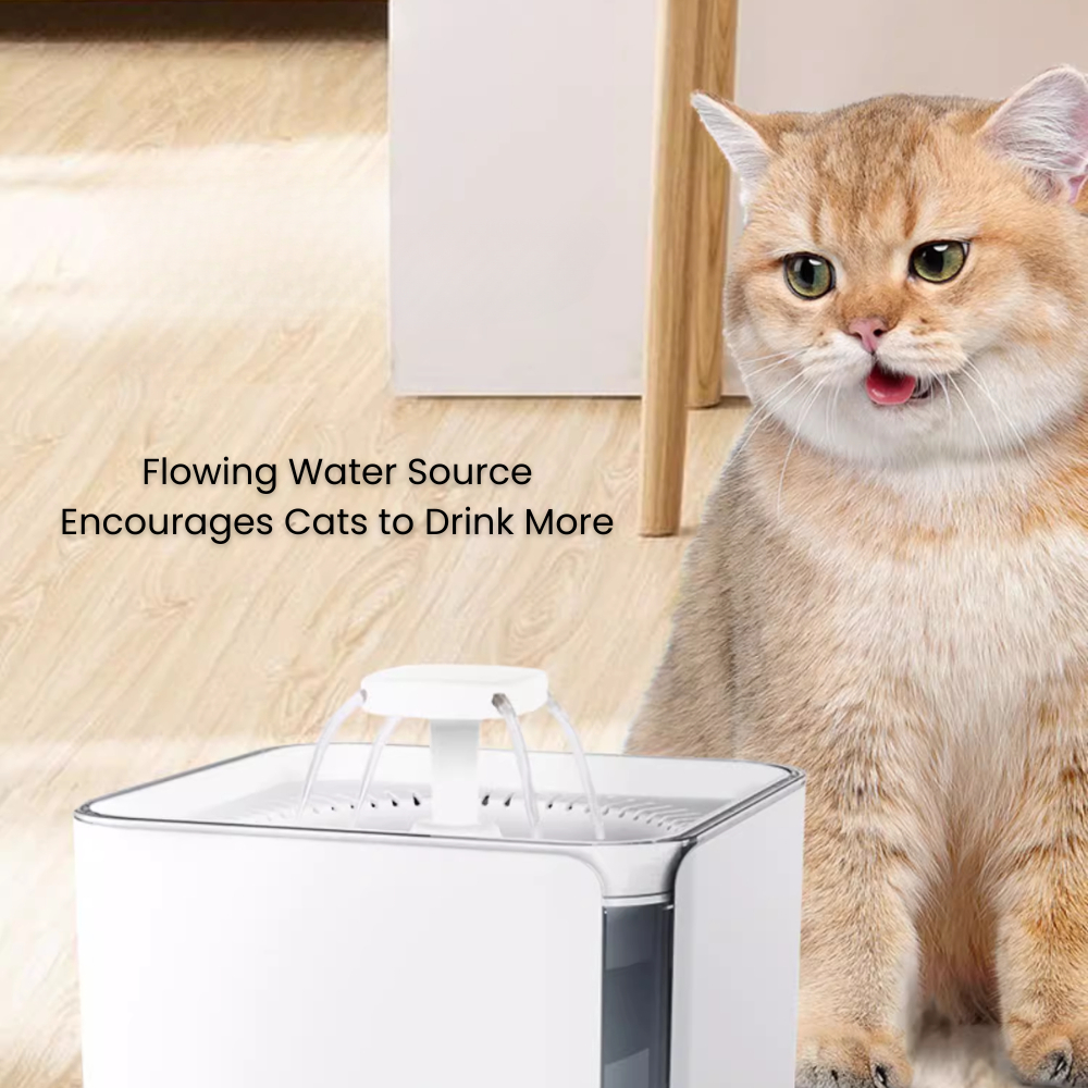 my-11134207-7rasm-md4e08rmvh1xd7