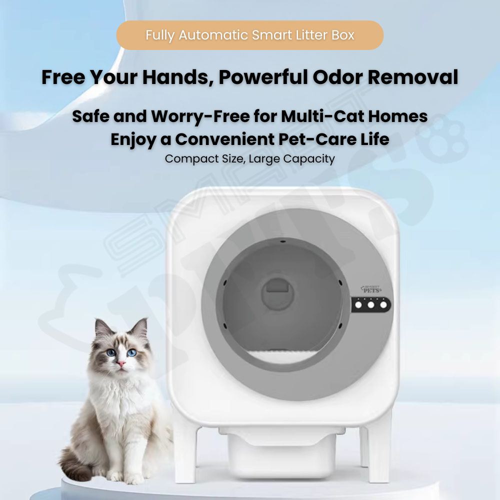 my-11134207-820lh-mfutsa6hdtl749