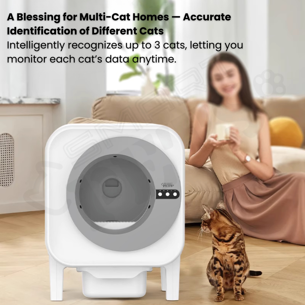 my-11134207-820l5-mfutszshiioa7c