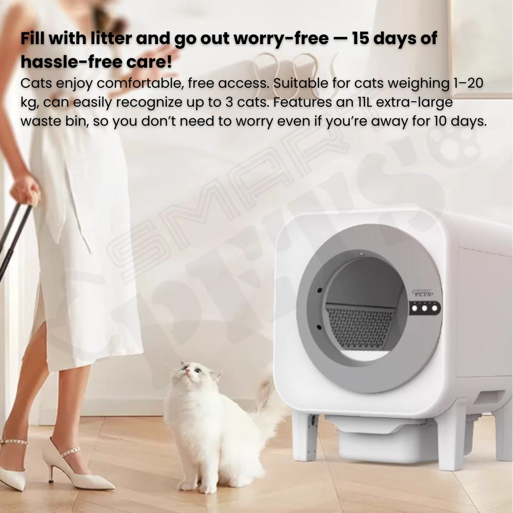 my-11134208-820l8-mfuuqfx3ltl565