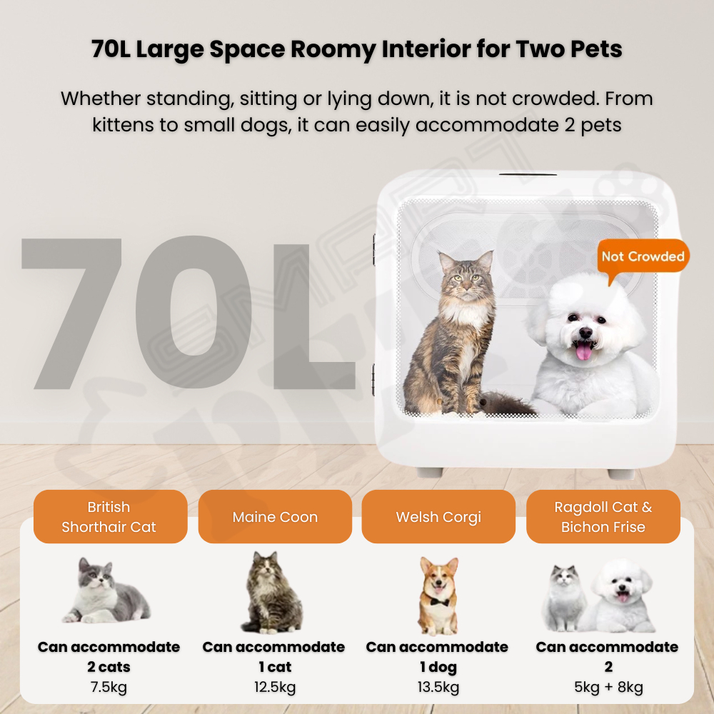 my-11134207-820l4-mhsvsy6tnl6qf5