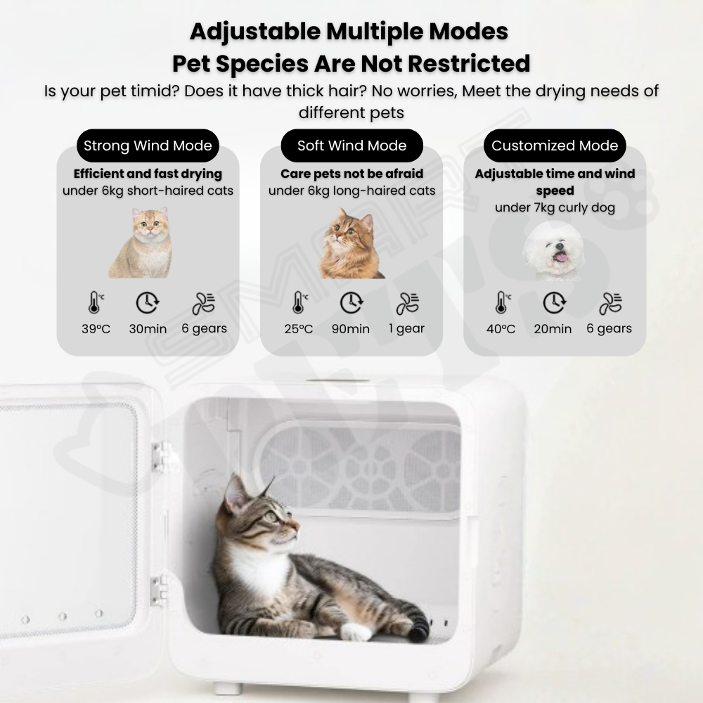 my-11134207-820li-mhsvsy5fo7pd96