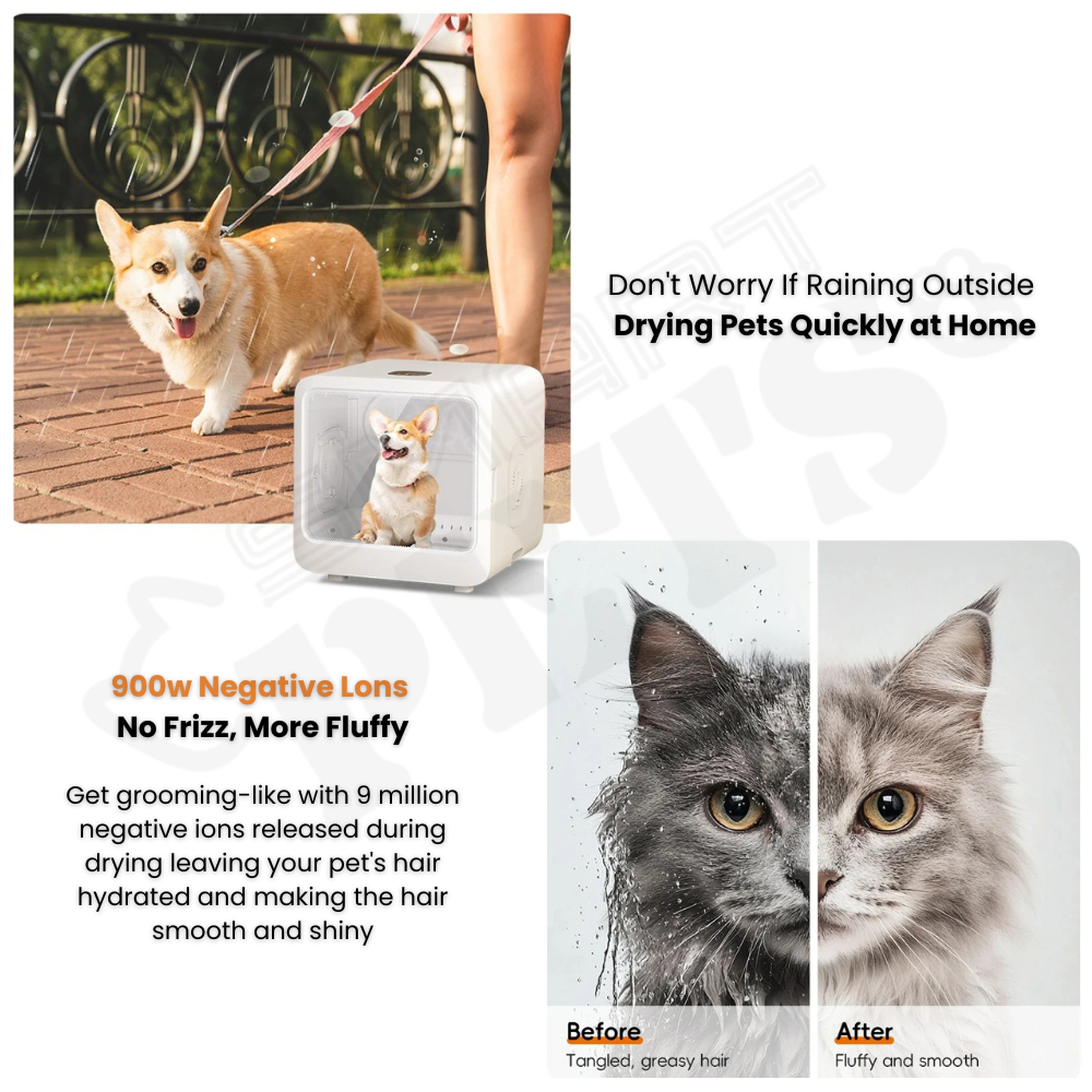 my-11134207-820l6-mhsvsygbt34324