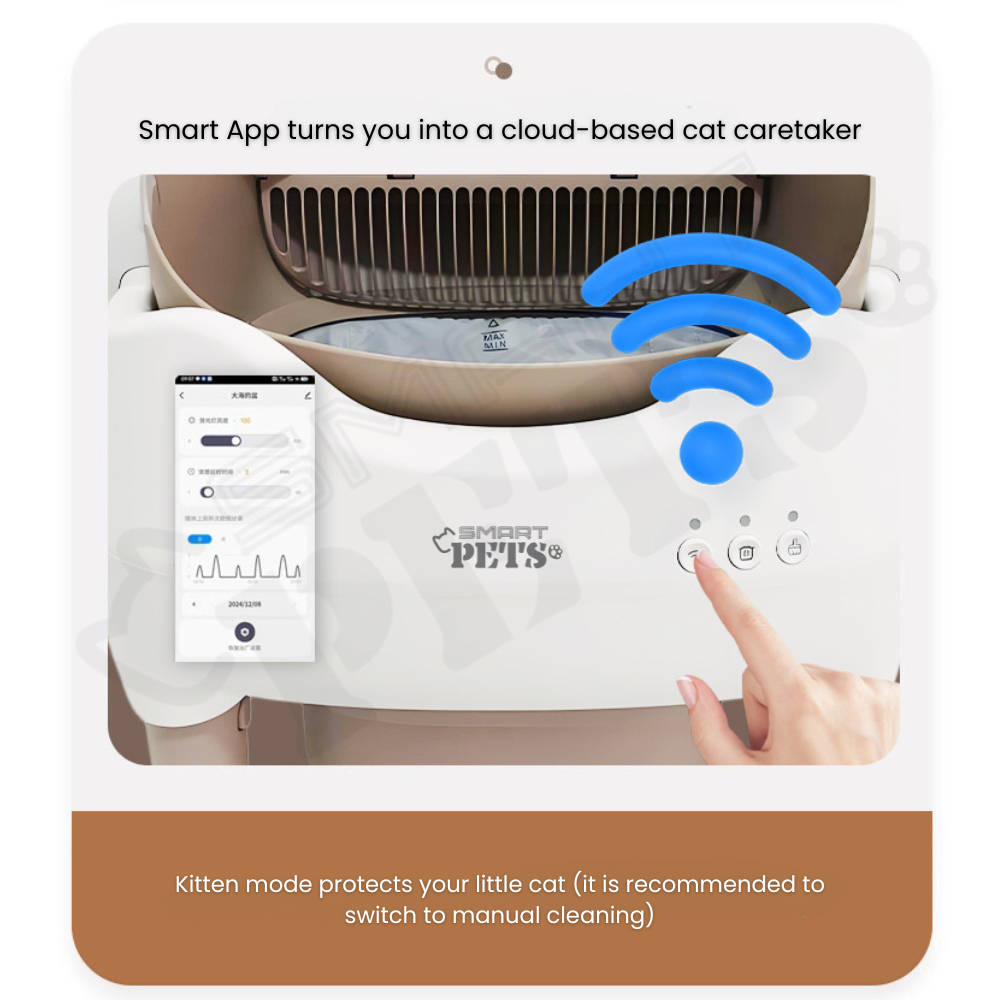 my-11134207-7ras8-mb4q76v3phd78a