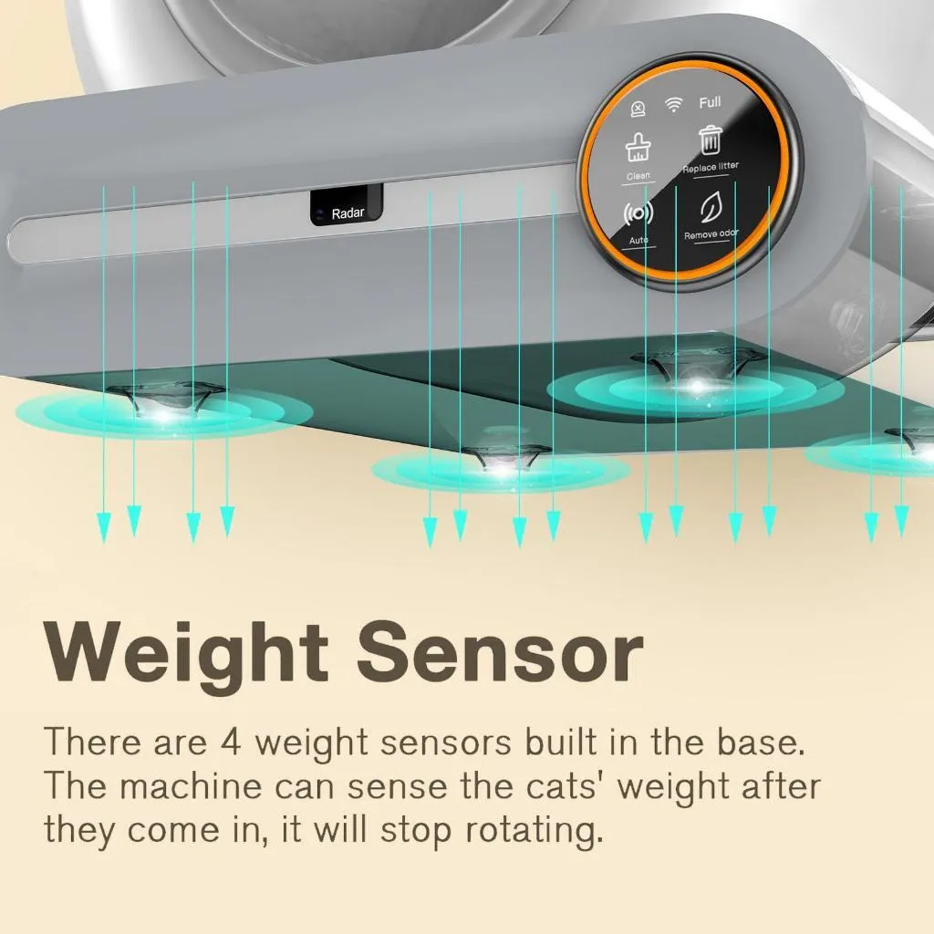 my-11134207-7r98x-lz7kcxd5zrzd53