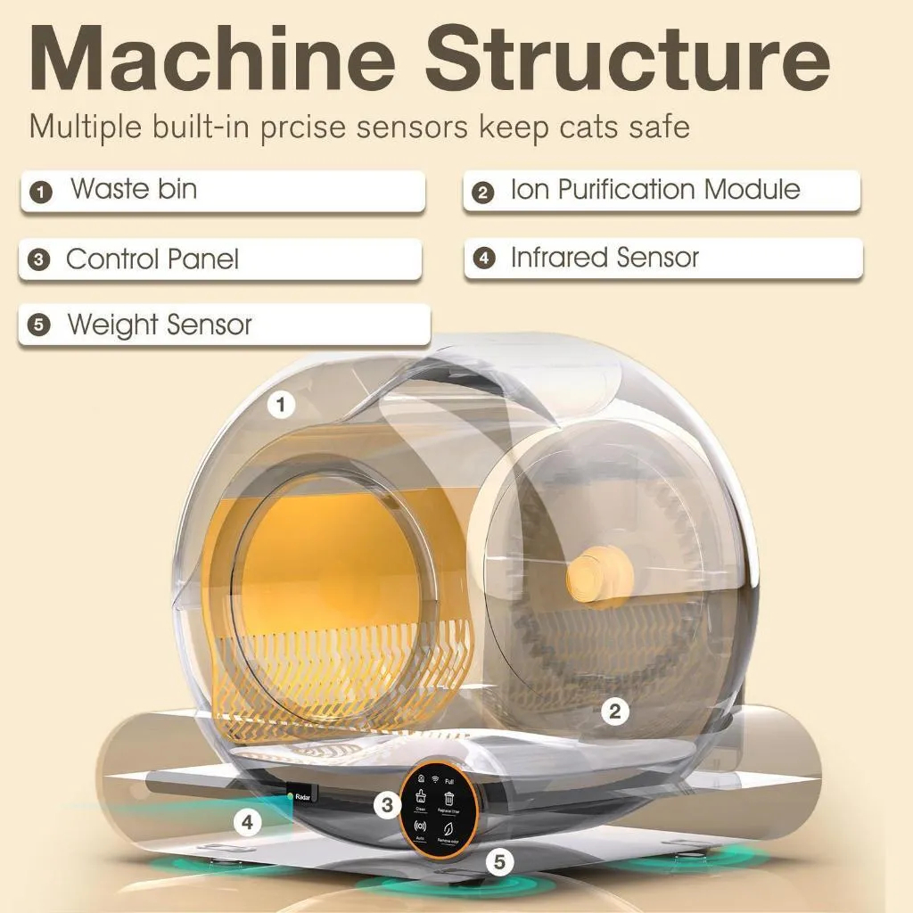 my-11134207-7r991-lz7kcyxhpcgw95