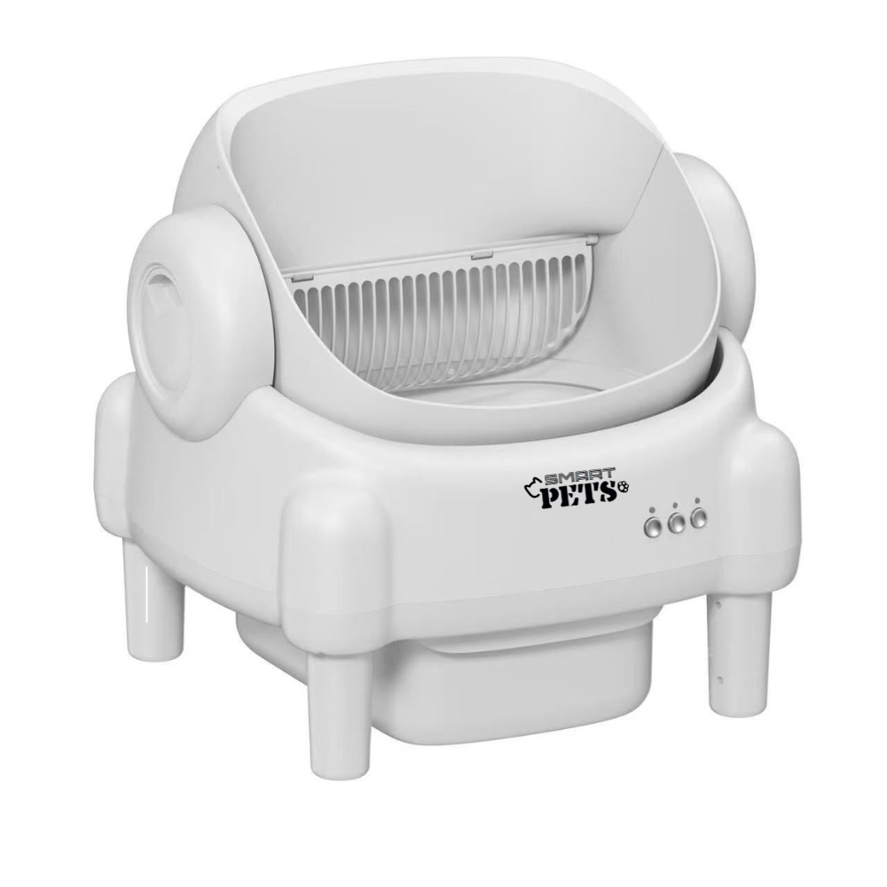 my-11134207-7rasl-mazsz4t9jdor2e