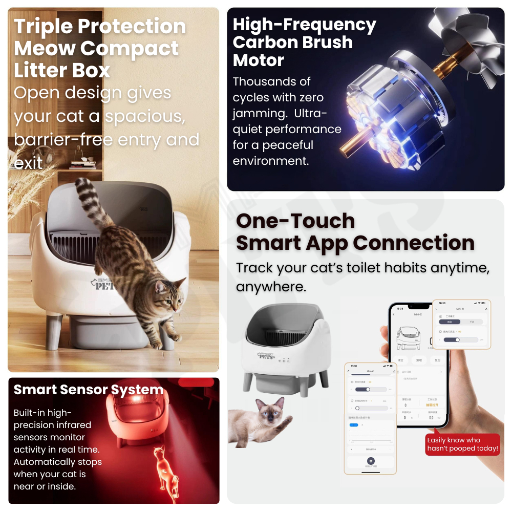 my-11134207-820lf-mj40vxmsixvlc2