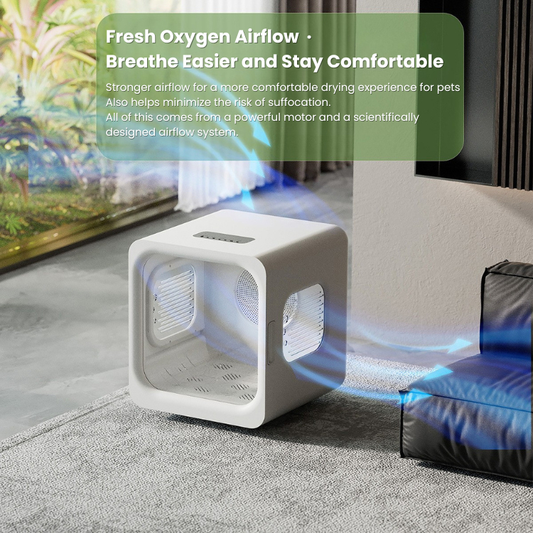 my-11134207-820l5-mfauqupwwzke7c