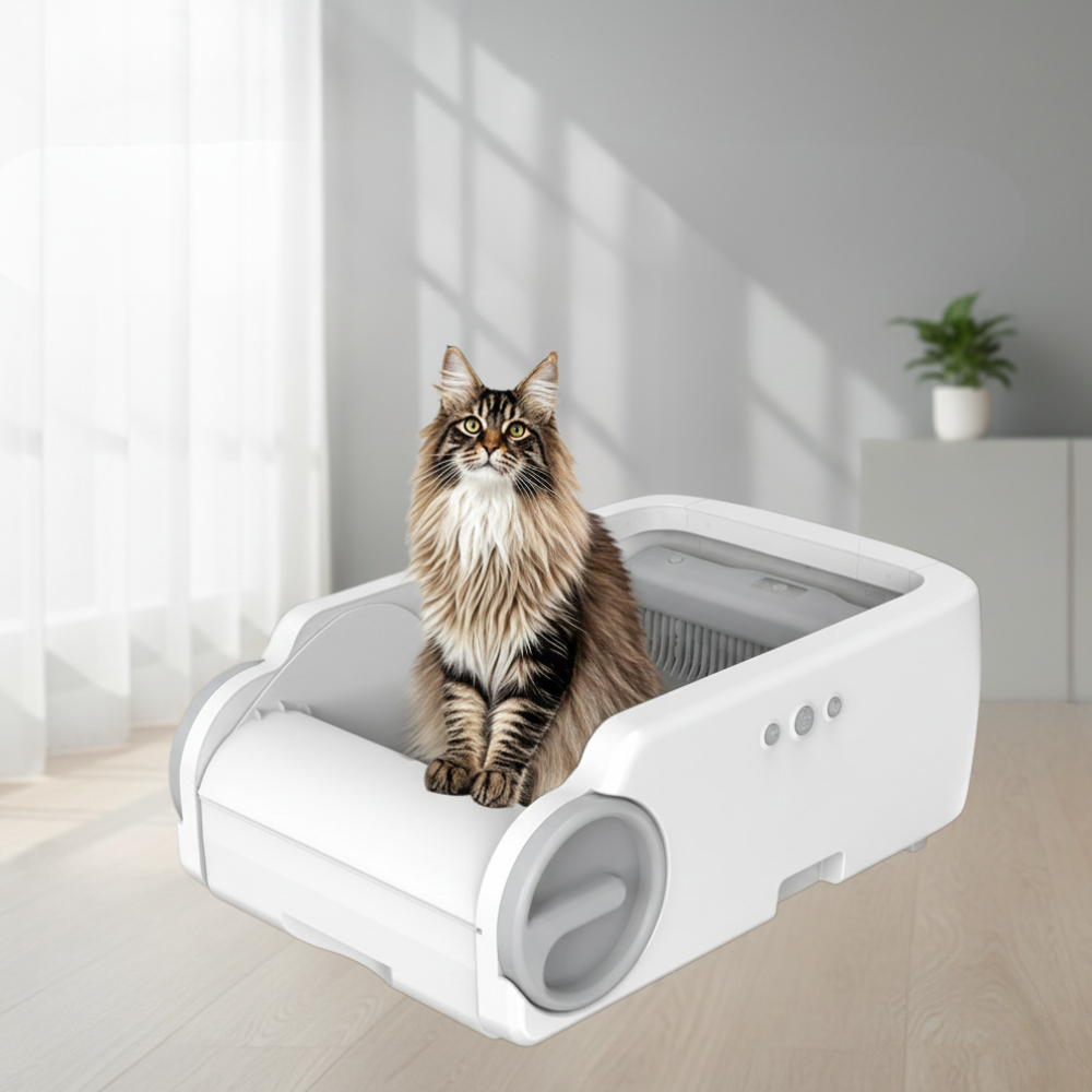 my-11134207-820lh-mhsr4m2mx2bp6e