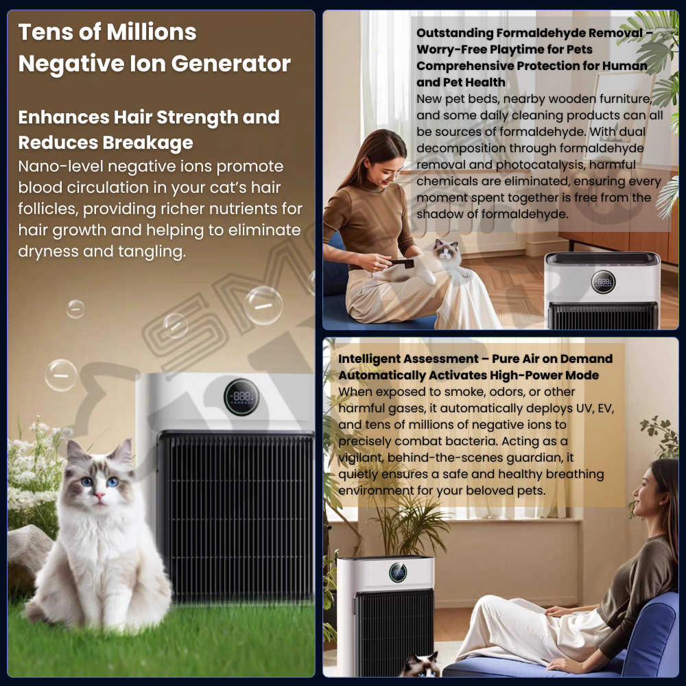 my-11134207-820lf-mgg2oo2l48ax47