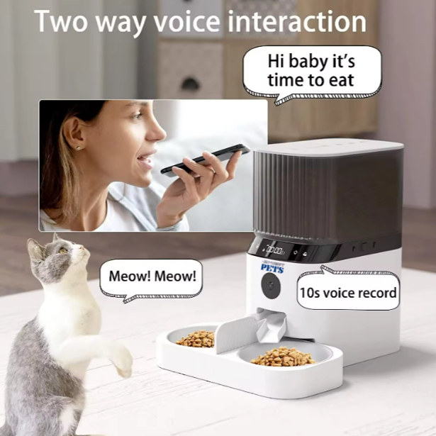 my-11134207-7r98s-lx6cqeyx4cq2e7