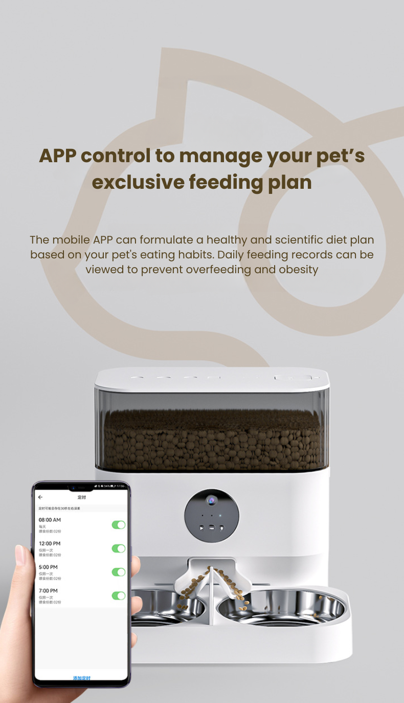 my-11134208-7r98r-lzqjjggjxs9s2d