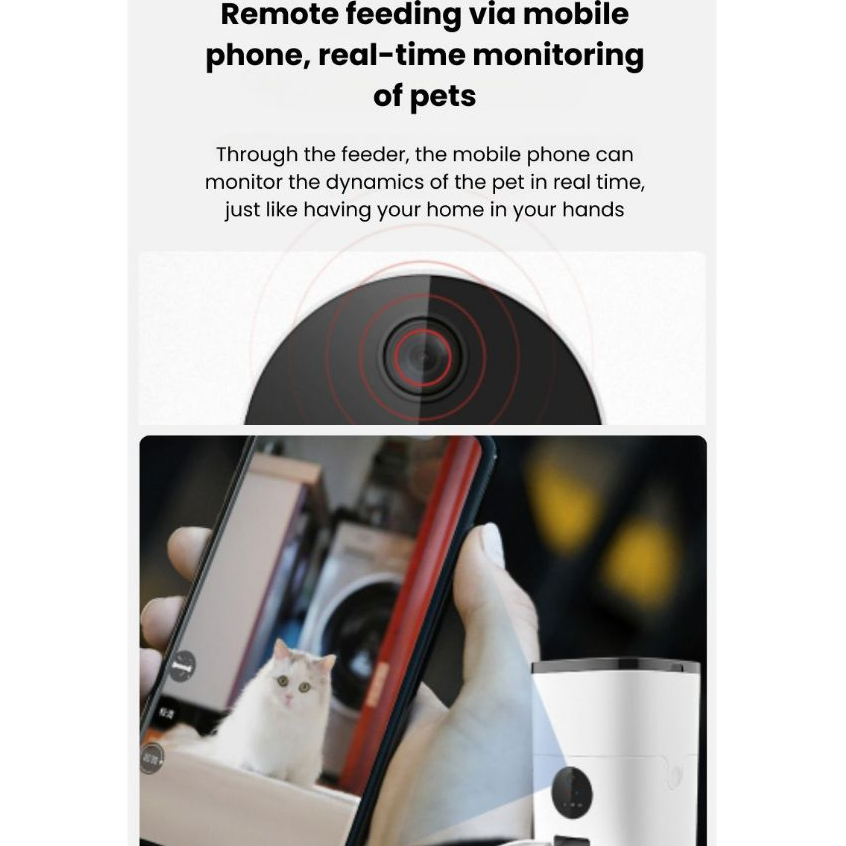 my-11134207-7rask-m1ry0kw7i2a22b