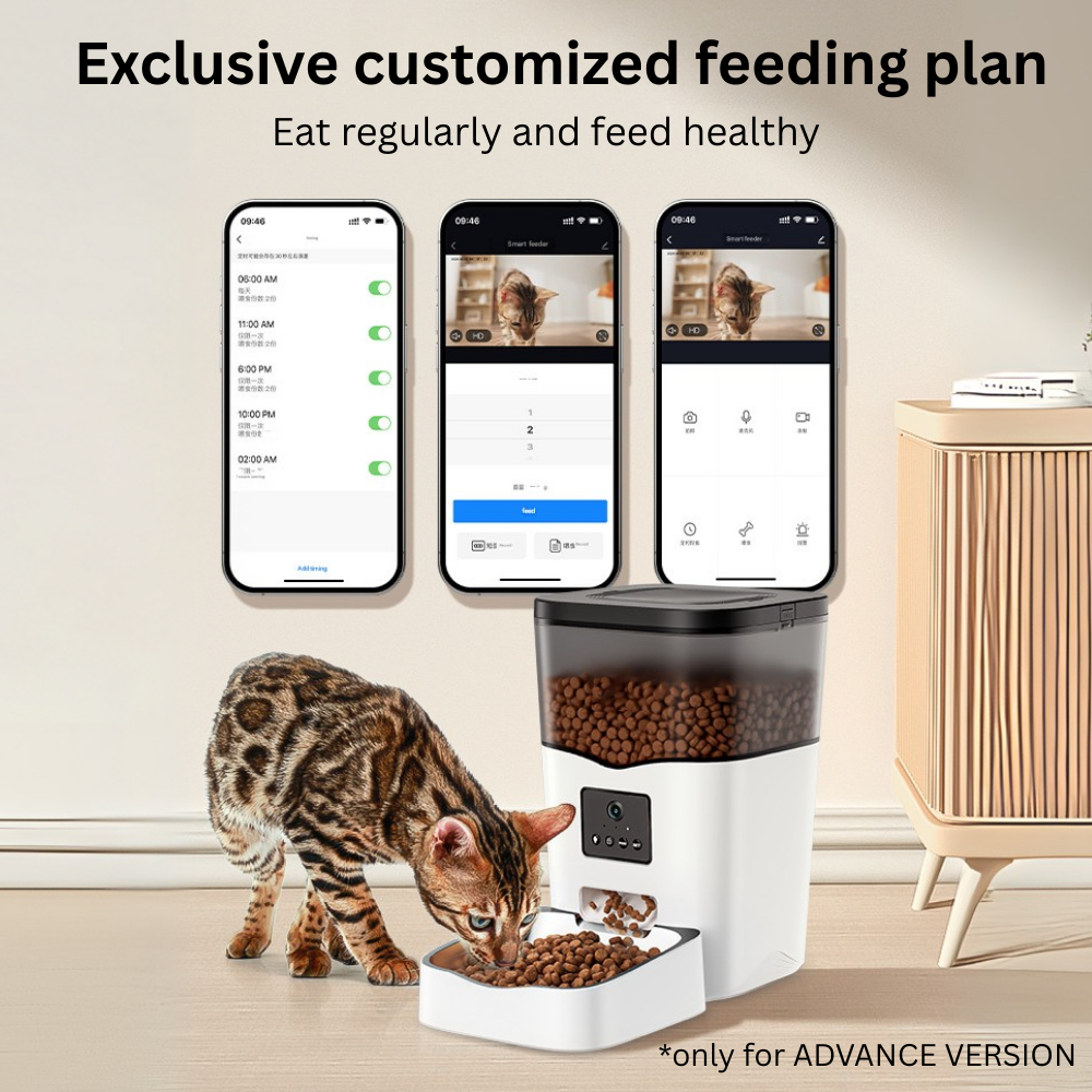 my-11134207-7ras8-mcagrwe5073h48