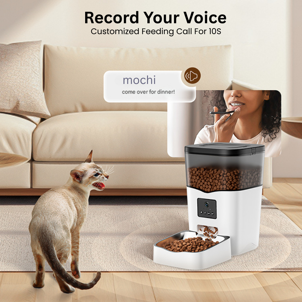 my-11134207-7rasf-mcags3wo0b8t5a