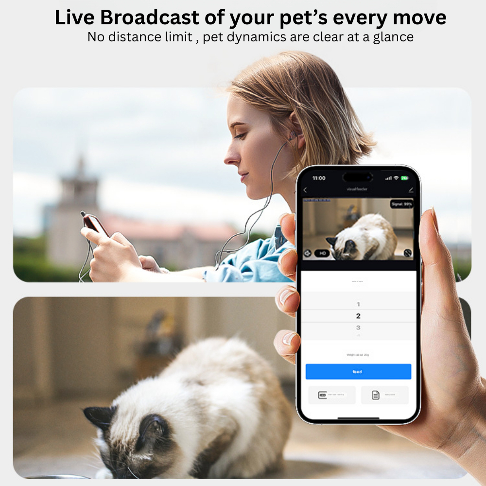 my-11134207-7rasc-mcags9lznugd2b