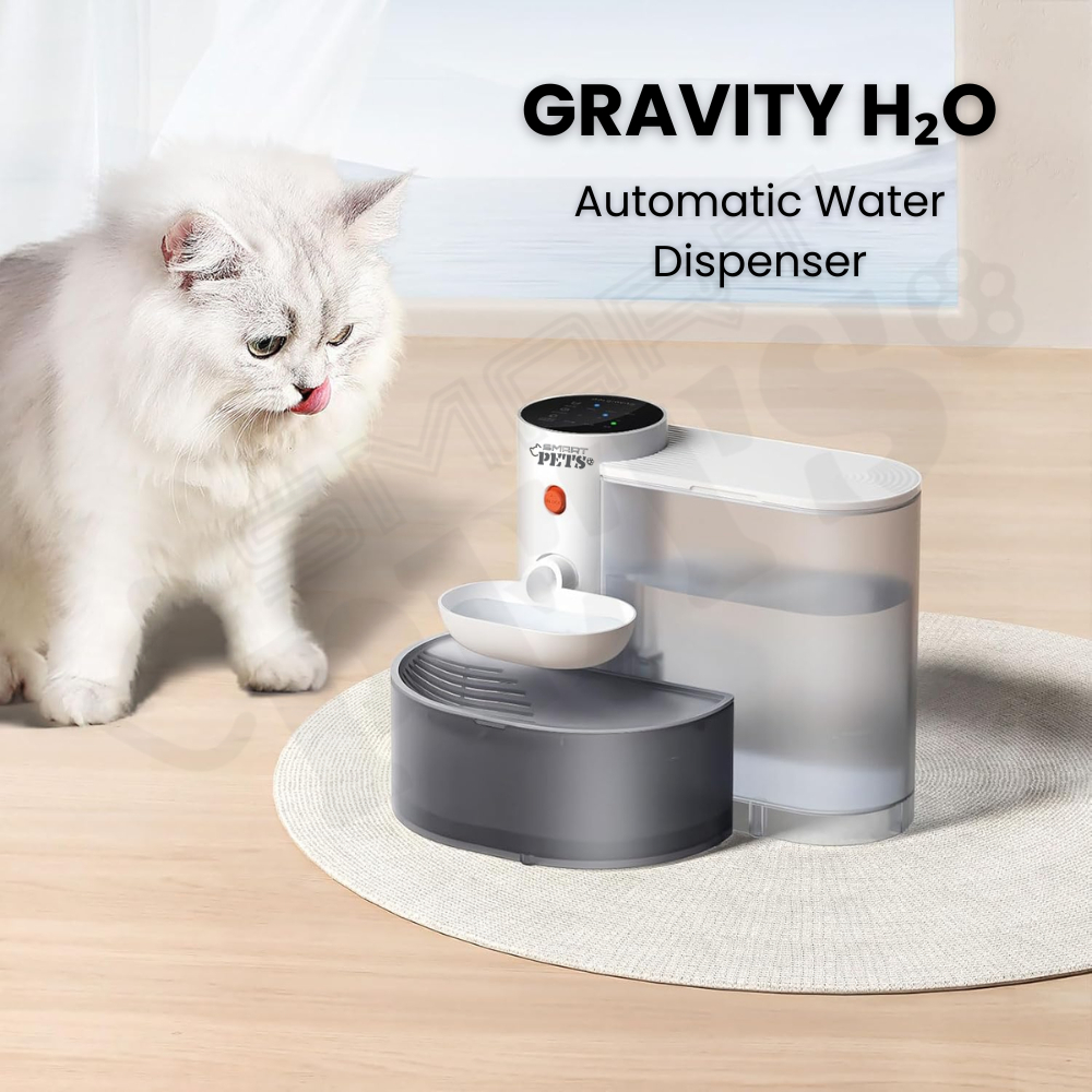 my-11134207-7rash-mb517sodth5723