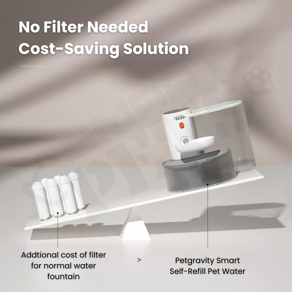 my-11134207-7rase-mb517yo91kwb78