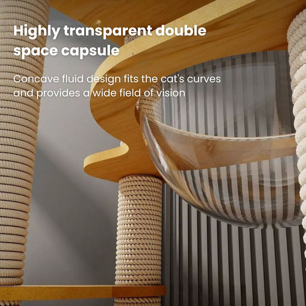 my-11134207-7rasa-mbg4cc33lpd034