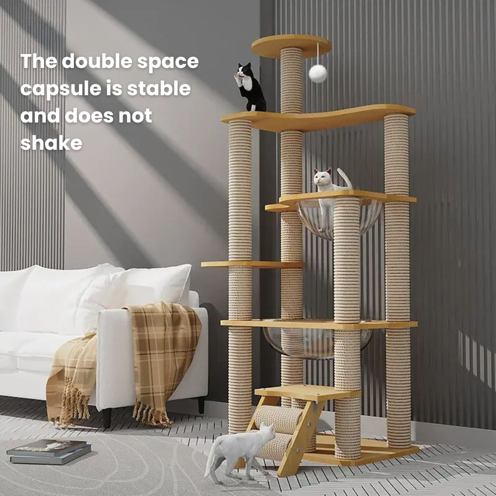 my-11134207-7rasc-mbg4cc5li1t0ce