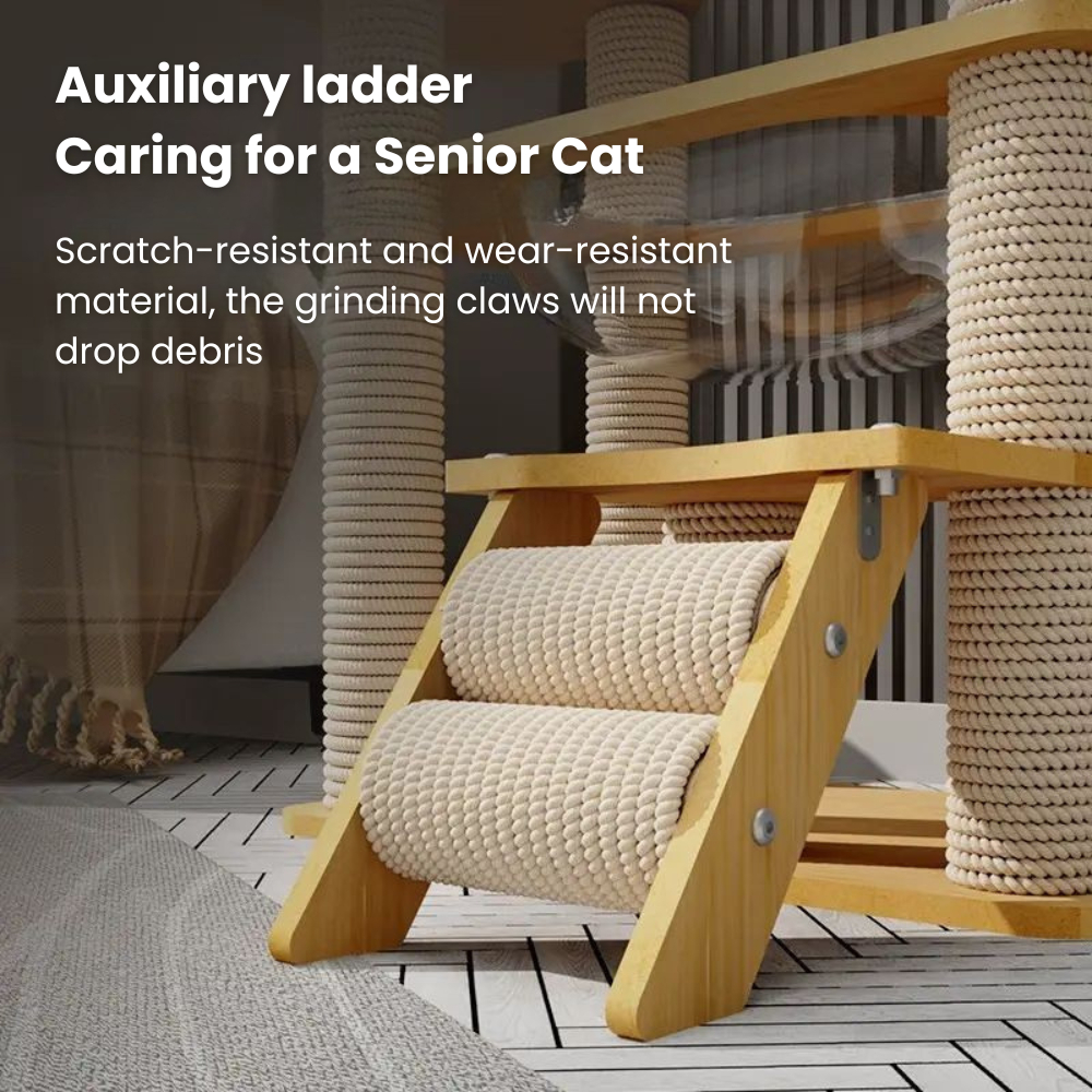 my-11134207-7ras8-mbg4cc6pgfddfc